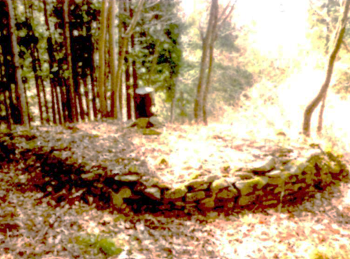 倉科の杉山の秦木場沢